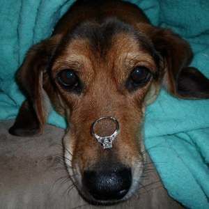 Meet your Posher, Jan